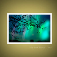 "Illuminated" Aurora Borealis Art Print