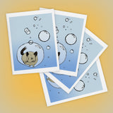 Chinchilla Floating in Bubble Greeting Cards - Set of FOUR - Yay for Fidget Art!