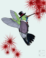 Dapper Spring Hummingbird Giclee Illustration Art Print - Yay for Fidget Art!