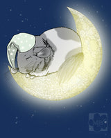 Sleeping Chinchilla on the Moon Blank Greeting Card, Size A2 SET OF FOUR - Yay for Fidget Art!