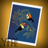 Toucan Courtship Single Greeting Card